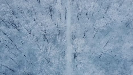 Imágenes-Aéreas-De-Nieve-Y-Escarcha-En-Un-Frío-Día-De-Invierno