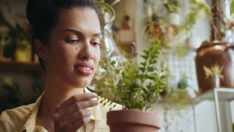 mujer inspeccionando una planta en maceta