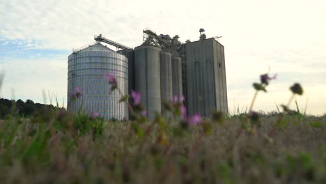 con flores de primavera en primer plano, un gran silo de grano domina el paisaje rural - atracción de enfoque