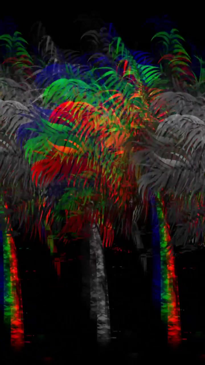 Colorful and monochrome palm trees 4k
