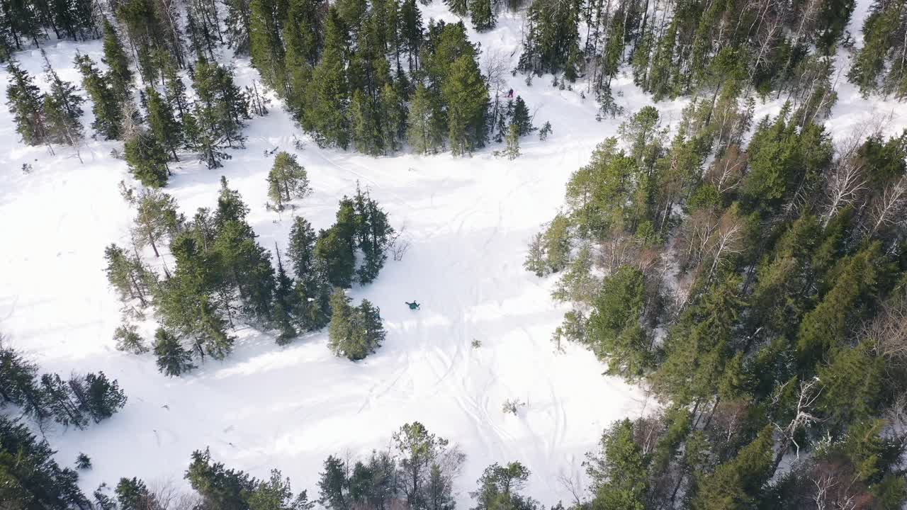 Vista aerea di una foresta innevata con tracce di motoslitta