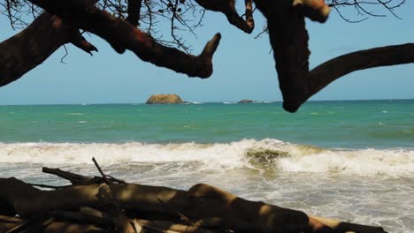 Beautiful-blue-ocean-beach-with-red-trees-in-Tobago,-West-Indies