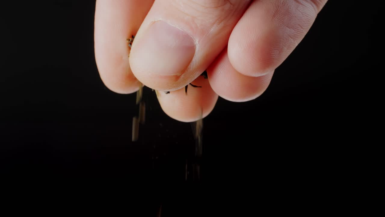 Hand Pouring Loose Leaf Tea