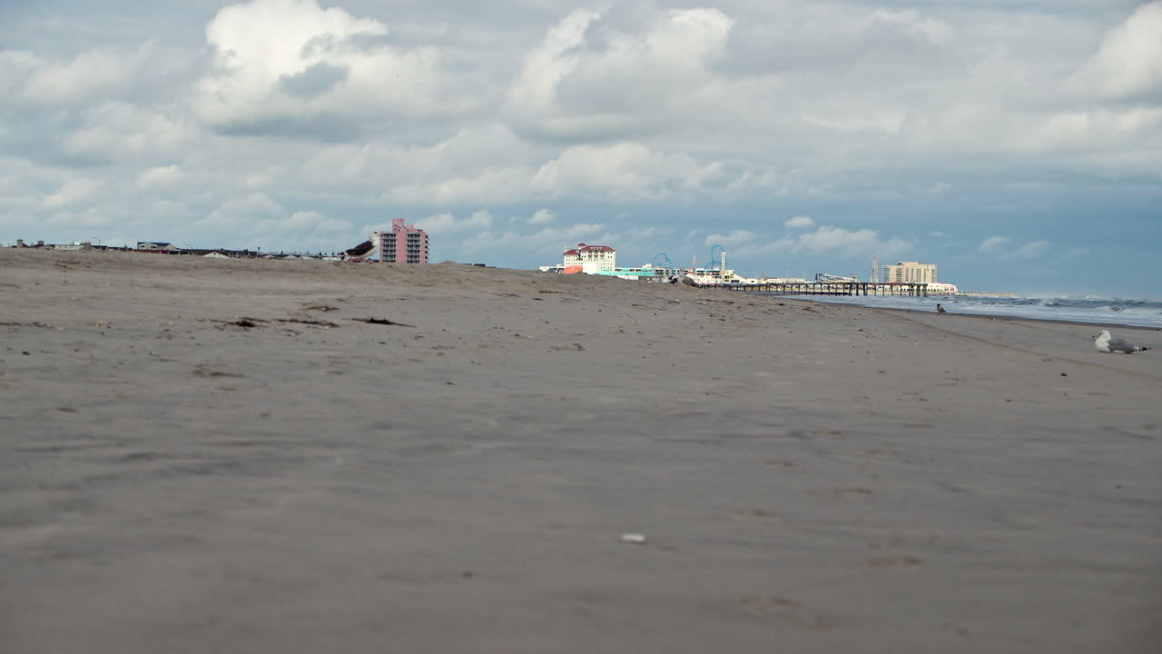 nueva jersey playa y costa, horizonte y gaviotas en cámara lenta