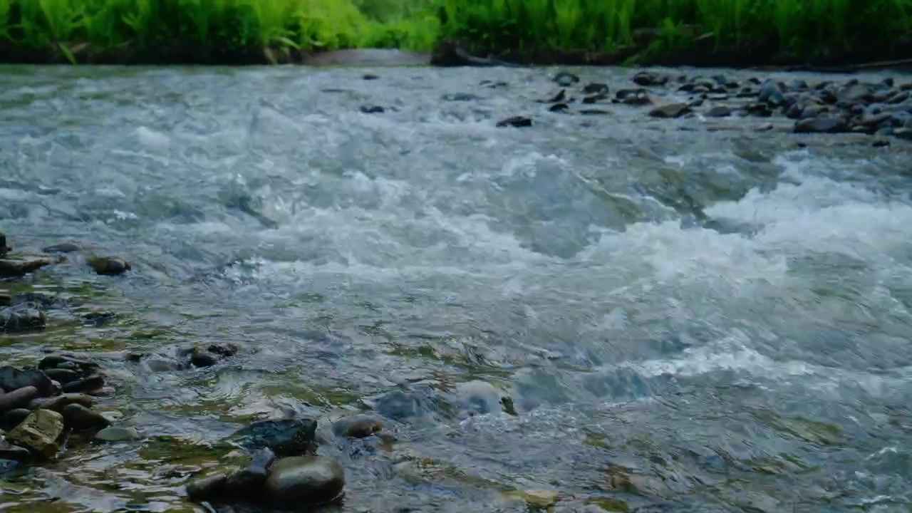 Un fiume di montagna impetuoso scorre su pietre lisce. L'acqua limpida crea schiuma bianca mentre scorre impetuosa. Alberi verdi lussureggianti costeggiano la riva del fiume sullo sfondo. Nessuna persona visibile. Filmato ideale per la natura.