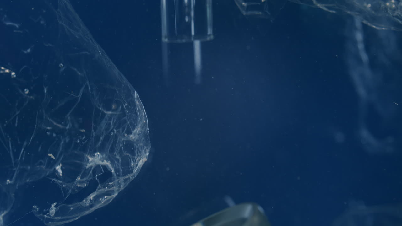 해양 생물 군계의 수중 플라스틱 및 알루미늄 조각, 세계적인 문제