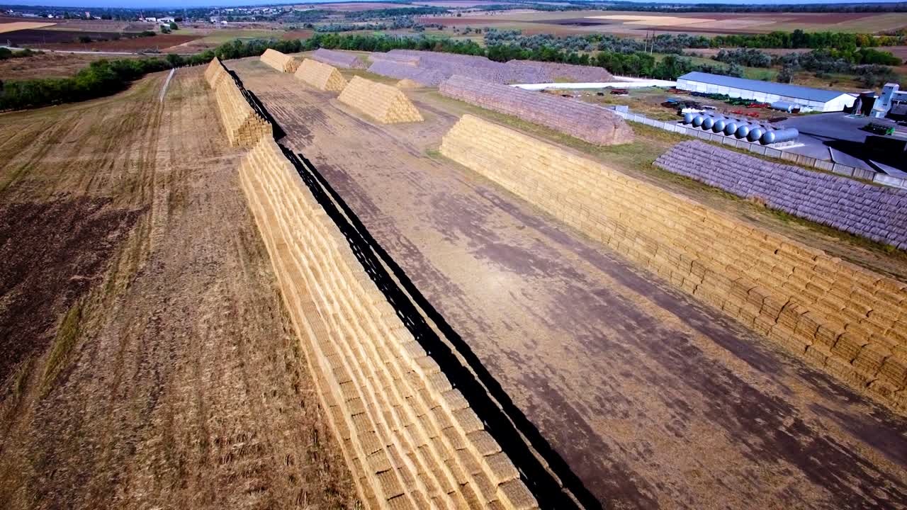 큰 어리 들 의 공중 에서 볼 수 있는 모습