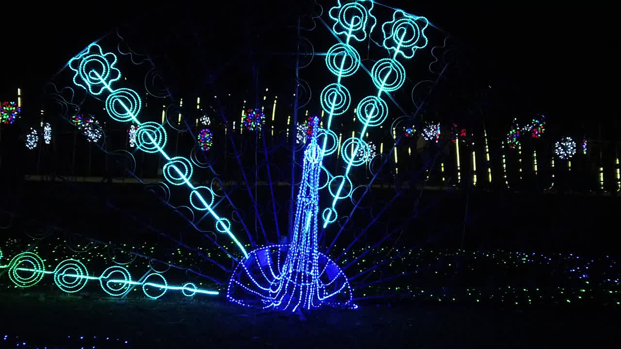 фестиваль светодиодного освещения в парке - павлинье перо slow mo