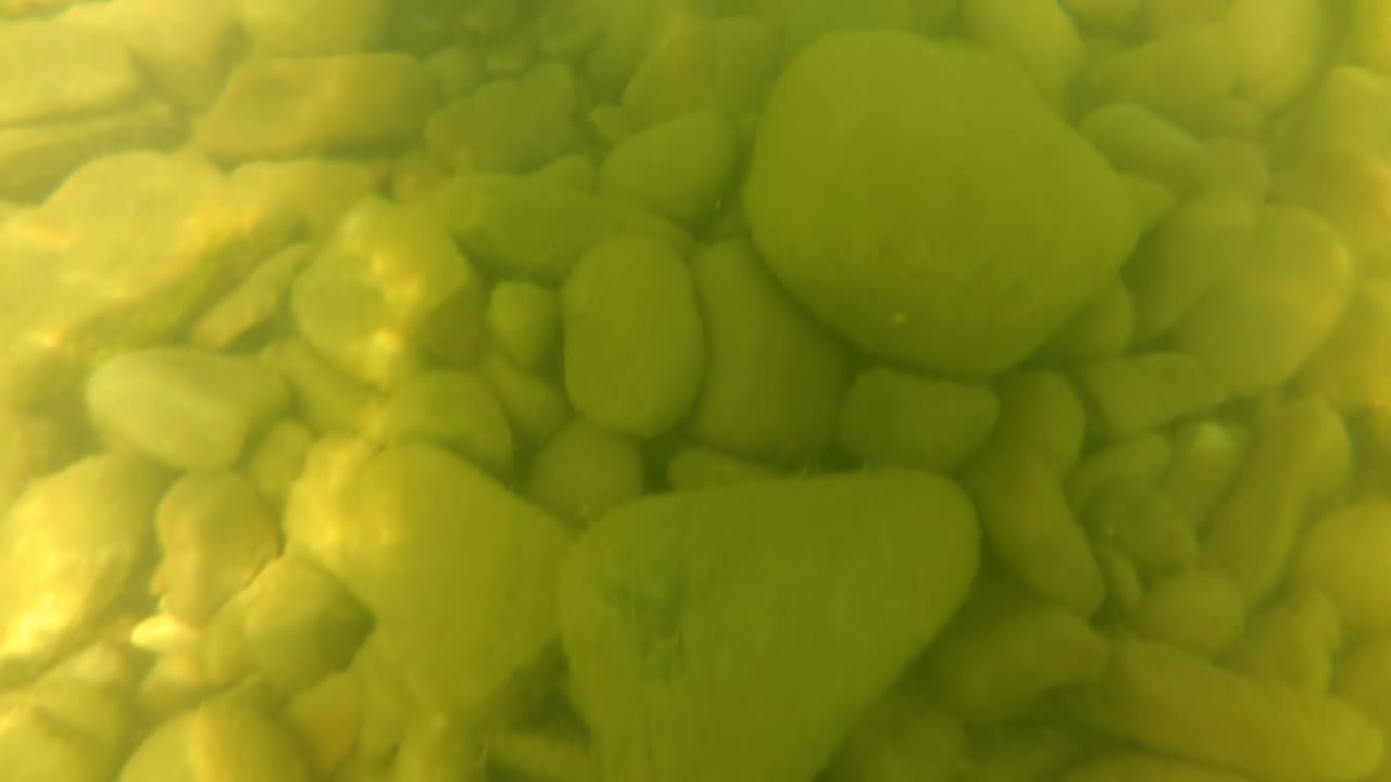Prise de vue de la rivière de montagne sous l'eau. Le monde sous-marin dans la rivière