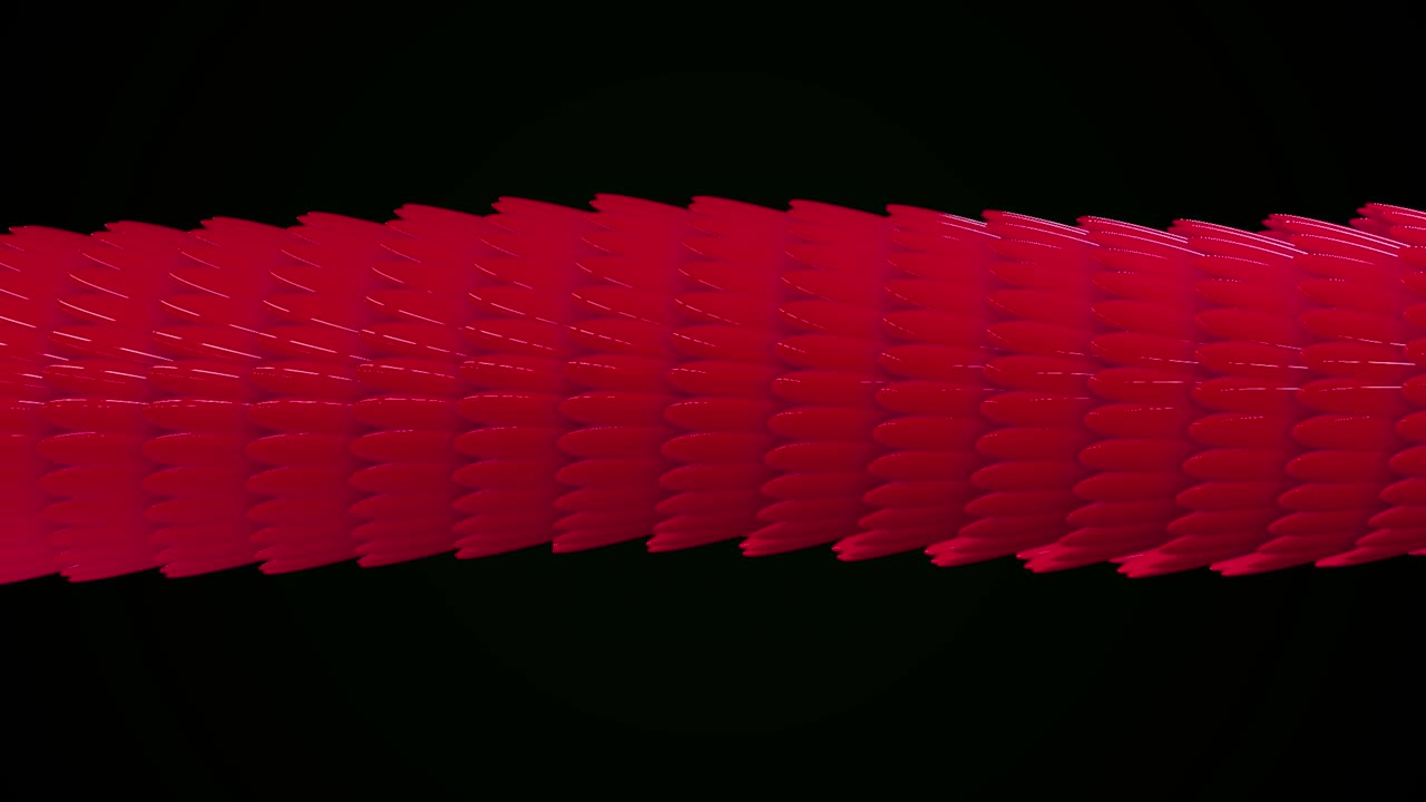 다채로운 드래곤의 애니메이션: 검은색 배경 루프에 있는 다채로운 구부리는 드래곤