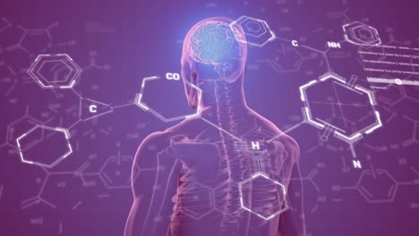 animación de estructuras químicas sobre un modelo giratorio del cuerpo humano con un cerebro en fondo púrpura