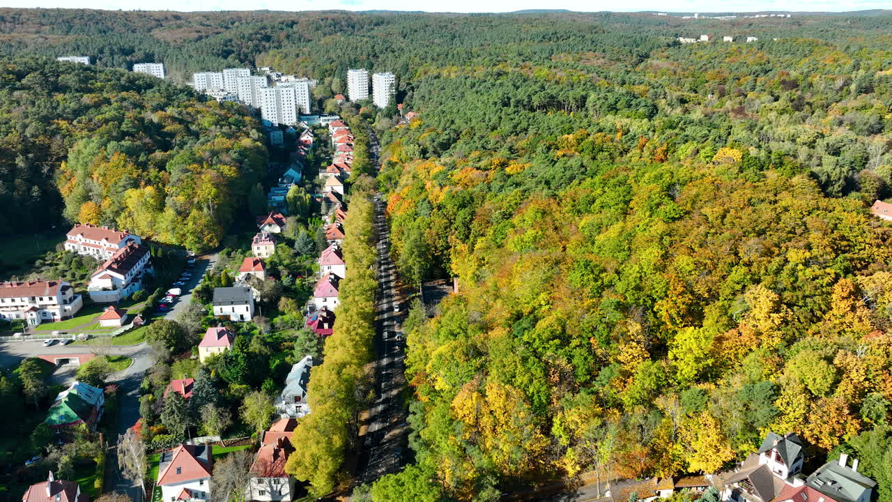 Aerial shot of autumn trees and residential street in Sopot, illuminated by bright sunlight