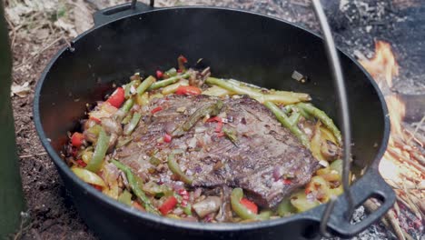 slow-mo beef and vegetables cooked on a fire, handheld