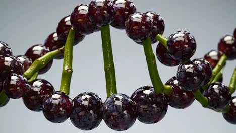 grapes representing dna structure
