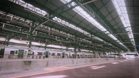 wide shot of train station