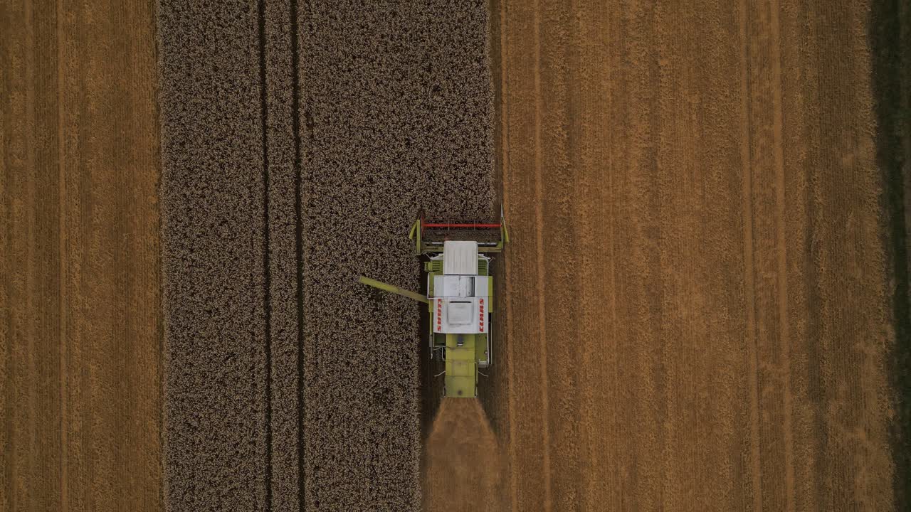 Raccolta di campi di grano con mietitrebbia.