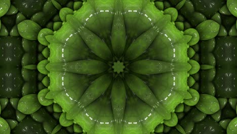3d en bucle abstracto ornamentado fondo decorativo. caleidoscopio hipnótico.