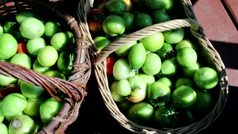 Freshly picked green and red tomatoes in wooden brown baskets. Products on the market