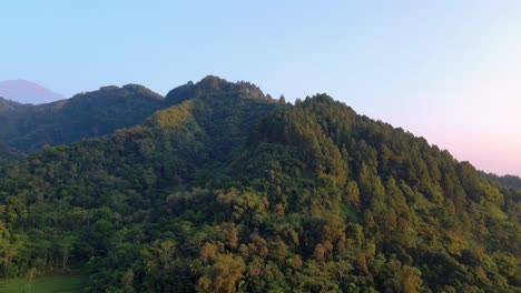 Vista-Aérea-De-La-Colina-Cubierta-De-Densos-árboles-De-Bosque-Por-La-Mañana