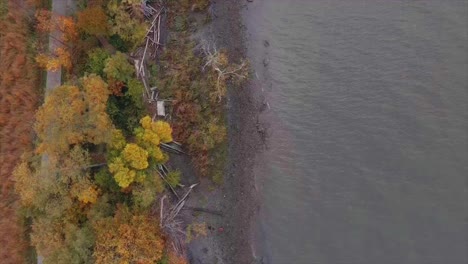 a top-down, bird's eye view of a river during autumn with peak foliage