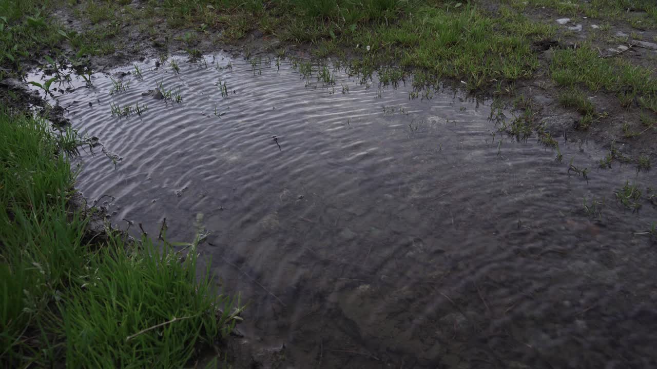 water in a wind-blown puddle while a person walks by , reflection