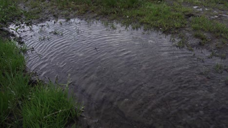 Wasser-In-Einer-Vom-Wind-Verwehten-Pfütze,-Während-Eine-Person-An-Seinem-Spiegelbild-Vorbeigeht