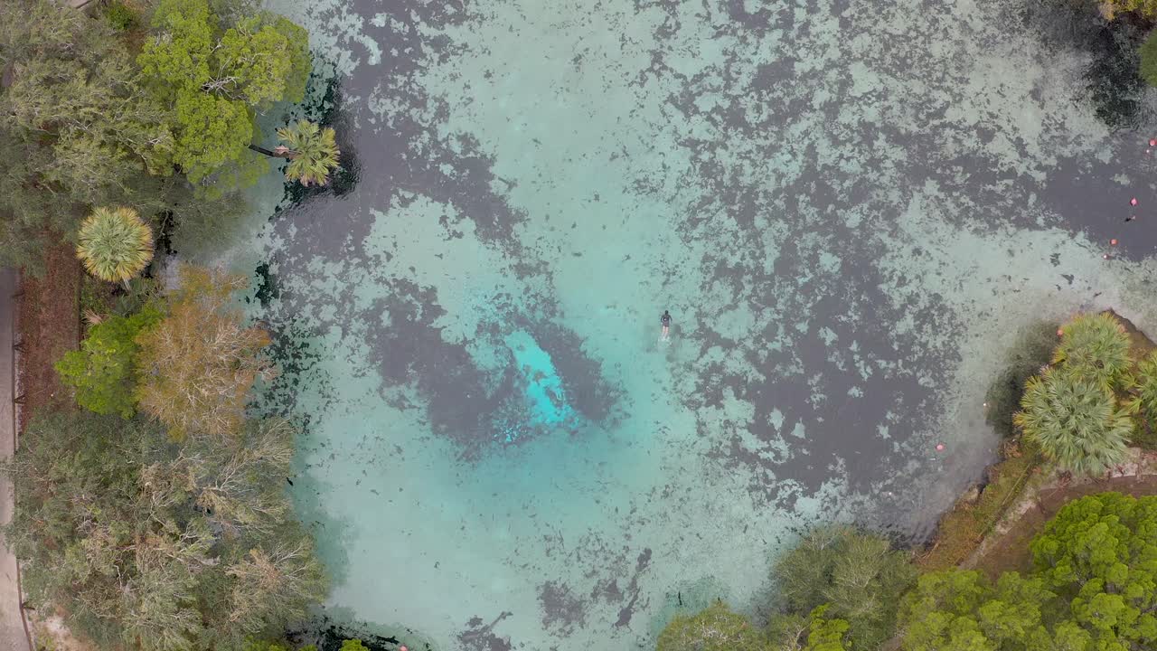 Aerial topdown view of natural Florida spring