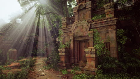 sunlight filters through dense forest illuminating ancient temple ruins