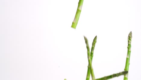 aspragus stalks falling in slow motion and bouncing on white backdrop
