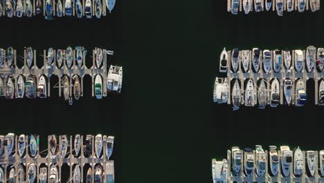 bird's eye view of boats and yachts in marina del rey harbor, los angeles, california  - drone shot