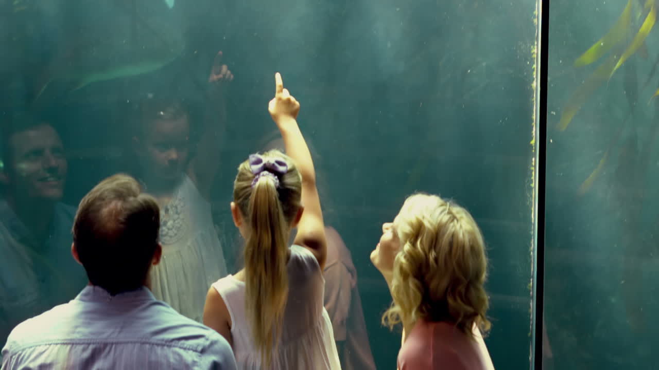 familia señalando a los peces en el acuario