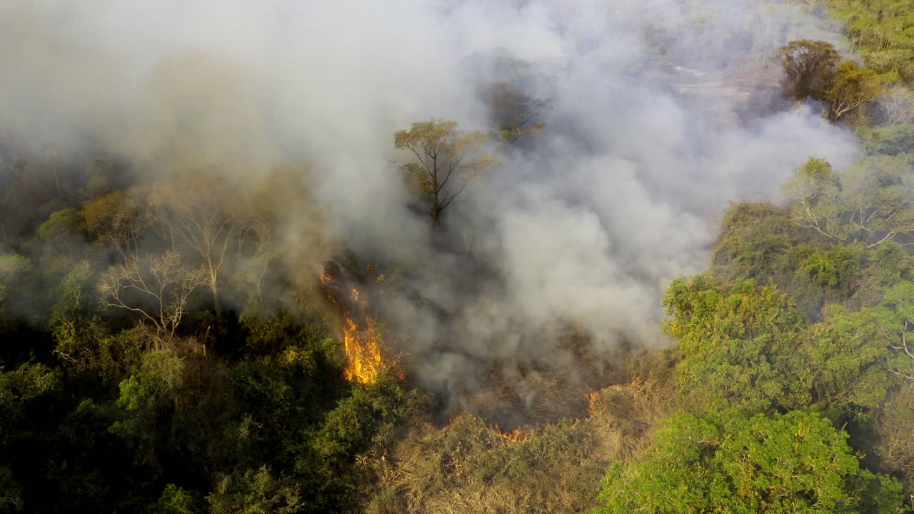 incendios provocados por colonos para despejar maleza y quema de árboles en el pantanal brasileño - vista aérea de la deforestación