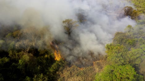 Von-Siedlern-Gelegte-Feuer,-Um-Buschwerk-Und-Bäume-Zu-Roden,-Brennen-Im-Brasilianischen-Pantanal-–-Luftaufnahme-Der-Abholzung
