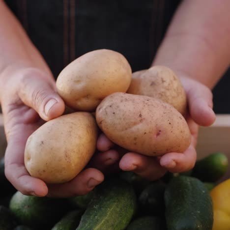 a farmer holds potatoes over the counter at a farmers market