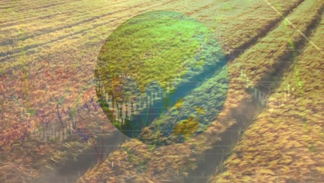 Animation-of-financial-data-processing-and-globe-over-aerial-view-of-agricultural-fields