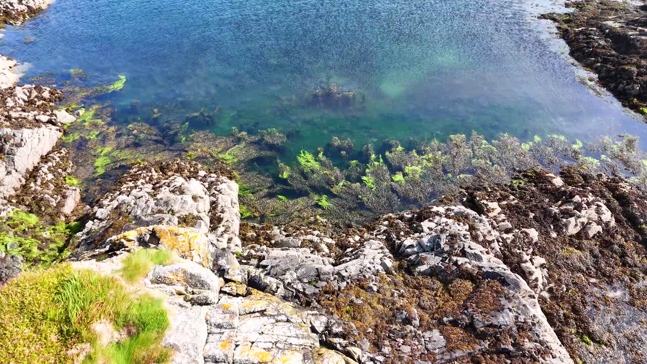 Aerial drone descends over rocky, seaweed-lined Scottish loch shoreline into clear blue-green water