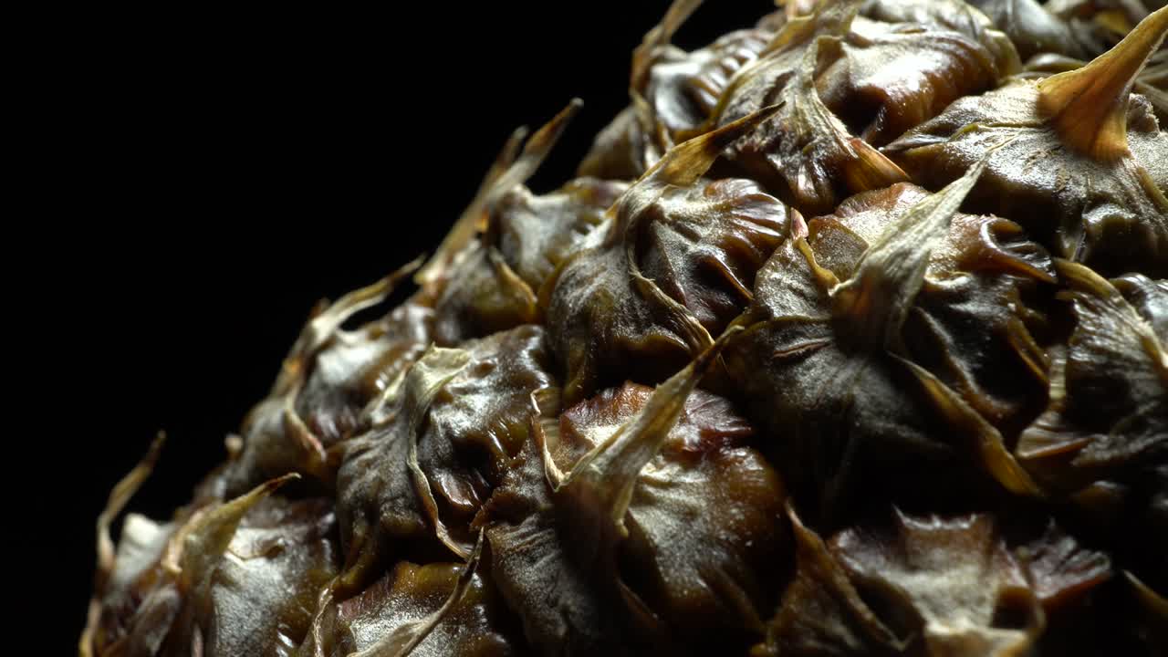 회전하는 파인애플