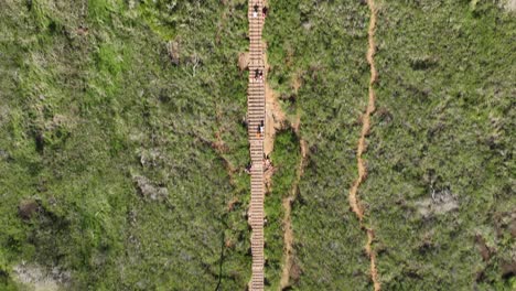 antena de drones de 60 fps de la caminata de la cabeza de koko en hawaii kai honolulu hawaii volando sobre los excursionistas y panoramizando hasta la cima de la montaña revelando el cráter soleado al mediodía