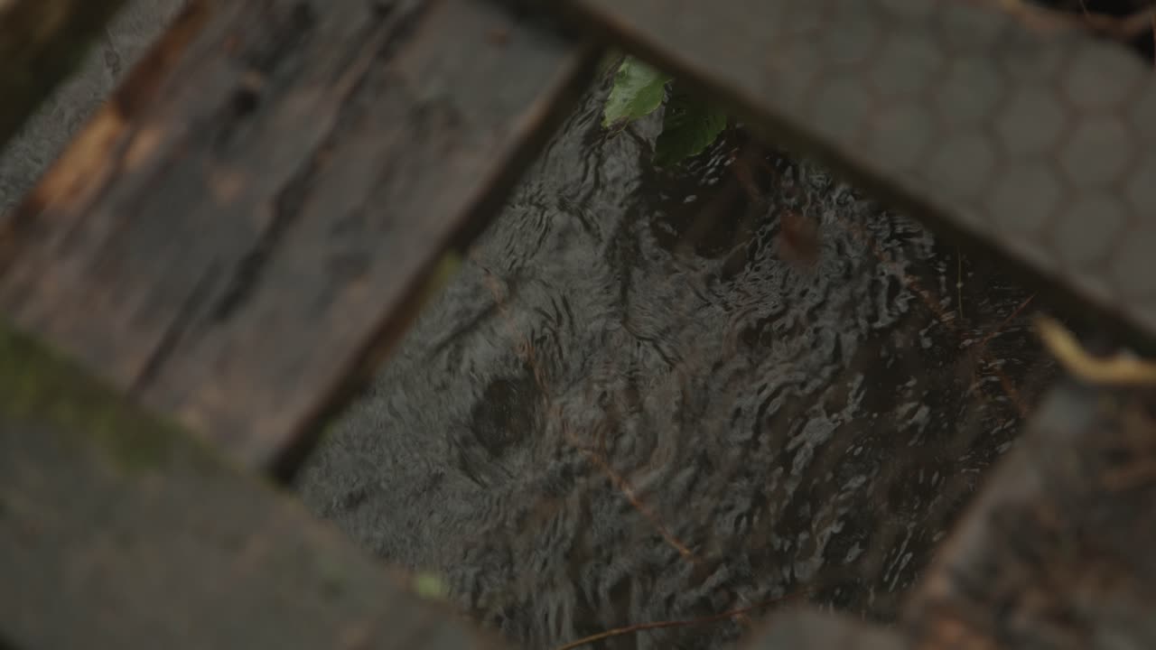 서머셋 시골의 시냇물