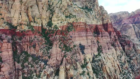 Una-Gran-Montaña-Con-Follaje-Que-Crece-A-Un-Lado