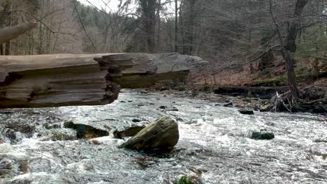 Drone-fly-under-fallen-tree-near-majestic-forest-river