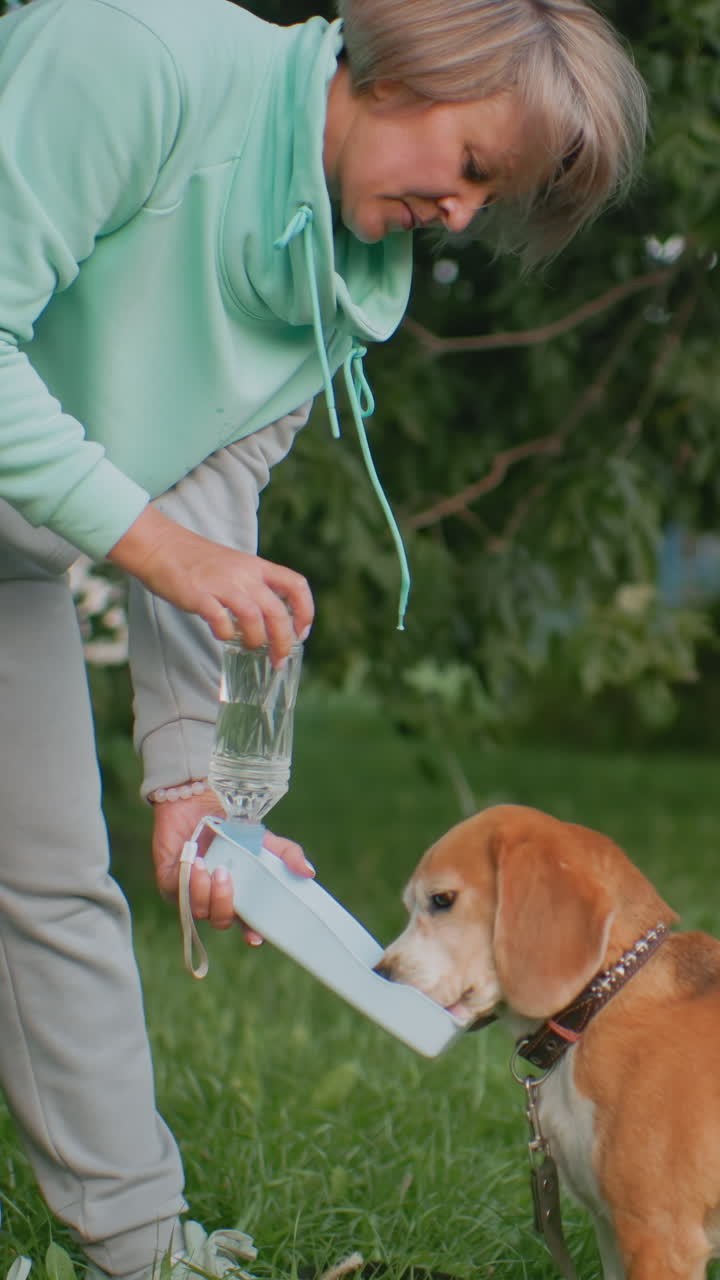 Mujer blanca con sudadera con capucha color menta vertiendo agua en un cuenco portátil para un beagle sediento en un parque frondoso, correa visible, pantalones grises informales, tarde tranquila, cuidadora compasiva ofreciendo hidratación