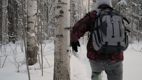 people hiking in snowy forest