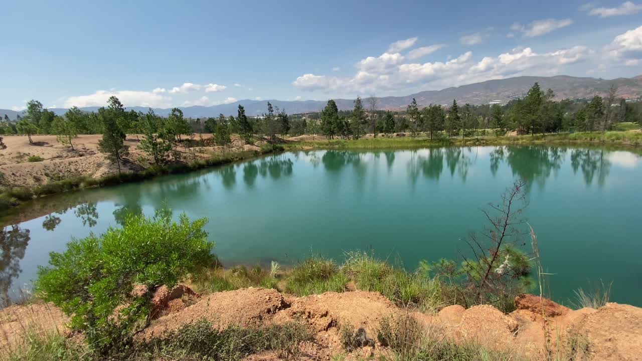 나무 로 둘러싸인 호수 의 풍경