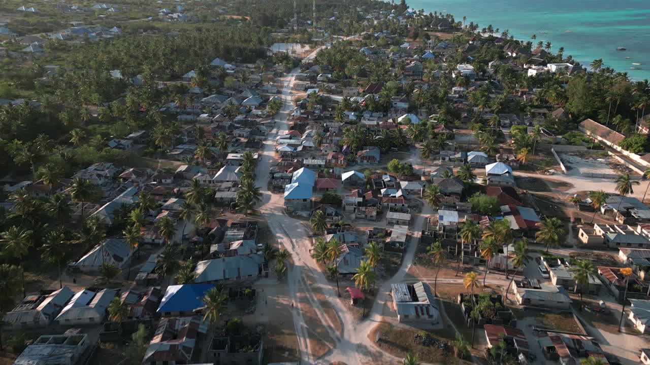 Aerial view of Jambiani village, Zanzibar, with palm trees
