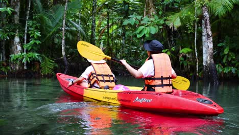 dos personas en kayak a través de aguas tropicales exuberantes