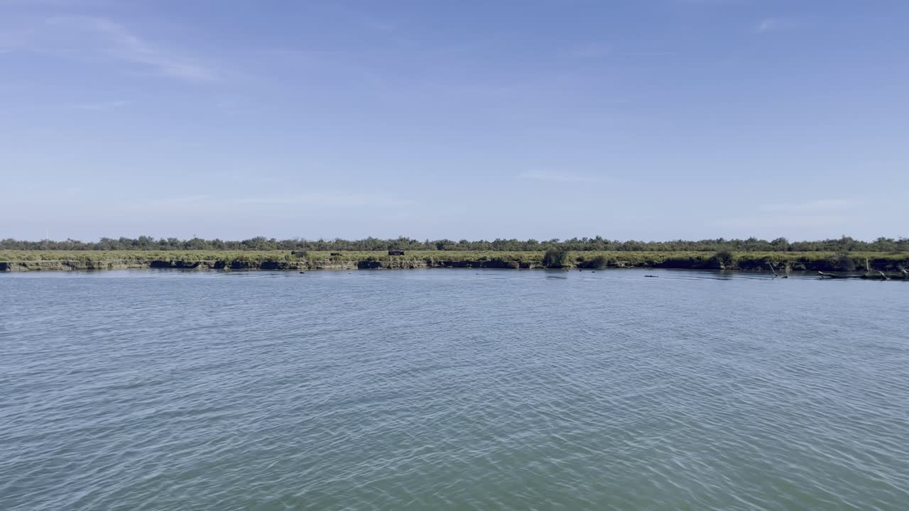 vuelo de avión no tripulado sobre un río en francia con pastizales en los que algunos bueyes negros están corriendo