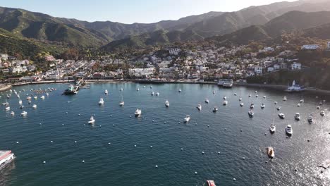 catalina island, california, showcasing boats in a sunny harbor, aerial view