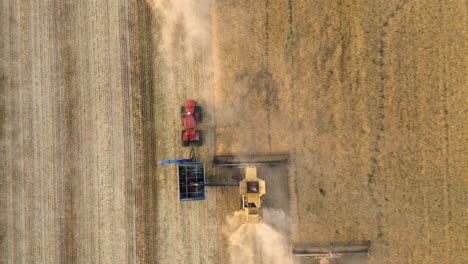 Cuatro-Cosechadoras-Con-Tolva-De-Persecución-De-Carros-De-Granos-Combinadas-En-Acción-En-Un-Paisaje-De-Pradera-Durante-El-Otoño