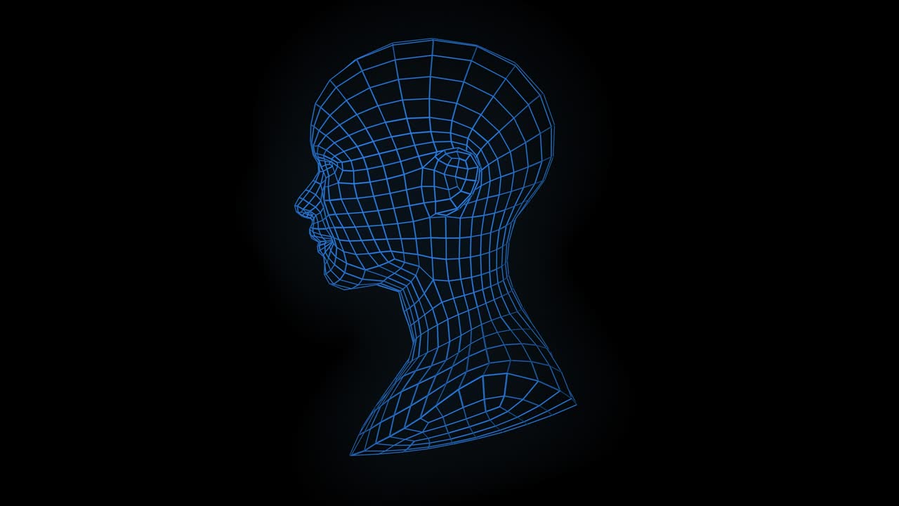 Loopable rotating mesh woman face